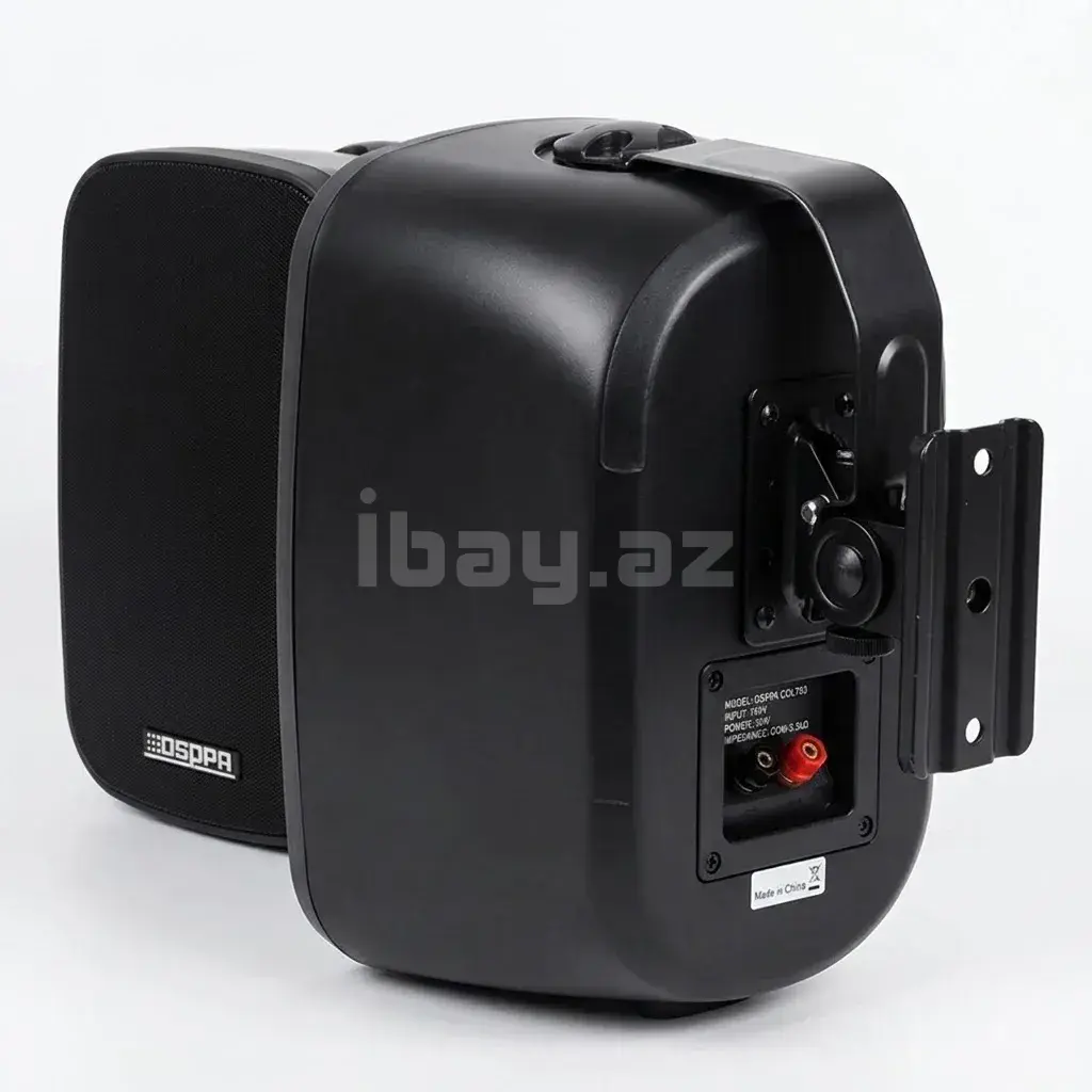 DSPPA DSP5020B Divar Tipli Dinamik 3