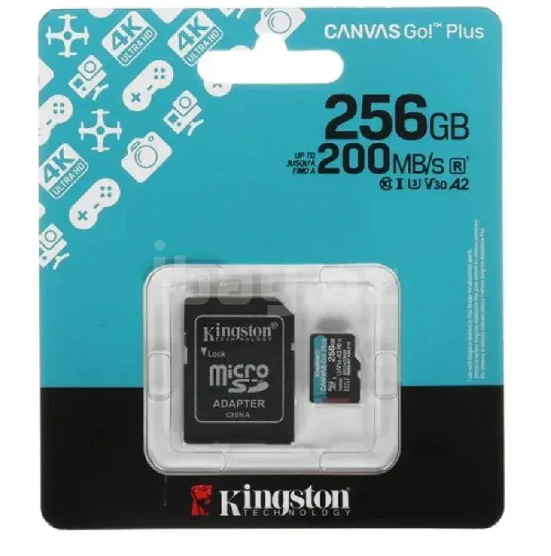 Kingston Canvas Go! Plus Gen4 SDCG4/256GB 256GB Карта памяти microSDXC