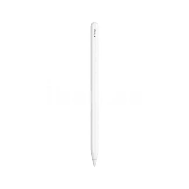 Apple Pencil (Stilus) | iPad üçün rəqəmsal ağıllı qələm