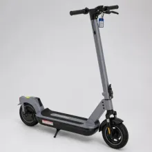 Электросамокат ABC-X10 PRO 36W (Серый)