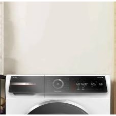 Bosch WGB256A0ME Paltaryuyan Maşın 10 Kq