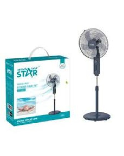 Вентилятор Winning Star ST-2009