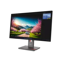Lenovo ThinkVision P32UD-40 64A8GAT2EU 31.5" 4K Business Monitor