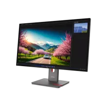 Lenovo ThinkVision P32UD-40 64A8GAT2EU 31.5" 4K Business Monitor