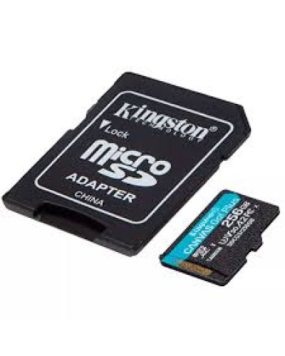 Kingston Canvas Go! Plus Gen4 SDCG4/256GB 256GB Карта памяти microSDXC