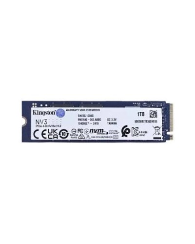 Kingston 256GB NVMe SSD