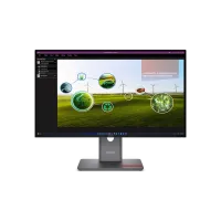 LENOVO ThinkVision P27Q-40 64A7GAT6EU Business Monitor