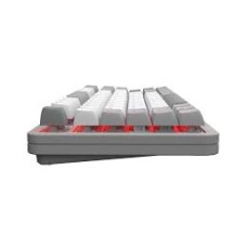Red Square Alumix TKL Gray Matter RSQ-20048 Mexaniki Oyun Klaviaturası