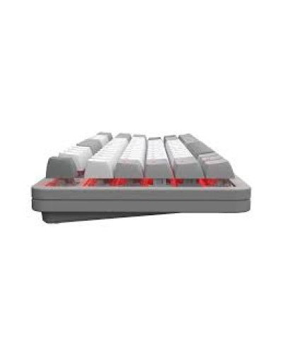 Red Square Alumix TKL Gray Matter RSQ-20048 Mexaniki Oyun Klaviaturası