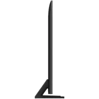Samsung QE100QN80FUXRU Televizor