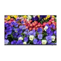 UNV MW3243-F-V2 – 43" Professional Sənaye Tipli CCTV 4K Ultra HD Monitor