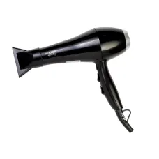 Fen Wooner HD2200PRBL Professional