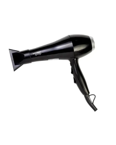 Fen Wooner HD2200PRBL Professional