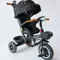 T18-197 Üçtəkərli velosiped