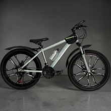 Velostrim 24-HZ-10D Q Rul Velosiped – Podşipnik Sistem, Disk Əyləc, Şəhər Tipi, Komfort Dizayn