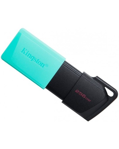 Kingston DataTraveler Exodia M DTXM/256GB 256GB USB 3.2 Fleş Yaddaş