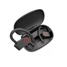 Qulaqcıq (Qara) 016ACC05