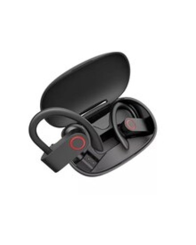 Qulaqcıq (Qara) 016ACC05