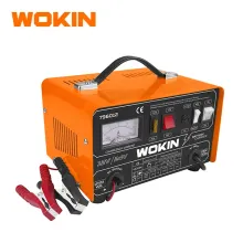 WOKIN Зарядное Устройство для Аккумуляторов 12/24V
