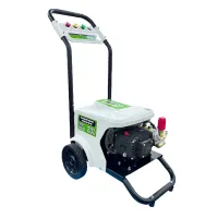 WOKIN W794417 Benzinli Oto Yıkama Makinası 220 Bar
