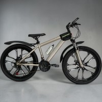 Peşəkar Velostrim 24-HZ-10D Q Dağ Velosipedi – Maşın Podşipnikli və Tam Təchizatlı