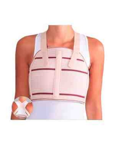 Sinə və bel nahiyyəsi üçün bandaj "ABC TEKS HB 5251"