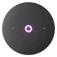 Yandex Station Mini 3 Pro YNDX-00059GRY Ağıllı Kolonka Grey