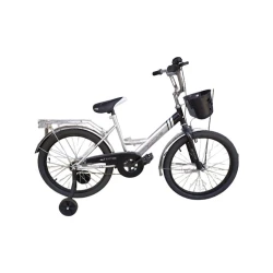 Детский велосипед Zies CN.V20, Серебристый Детский велосипед Zies CN.V20, Серебристый