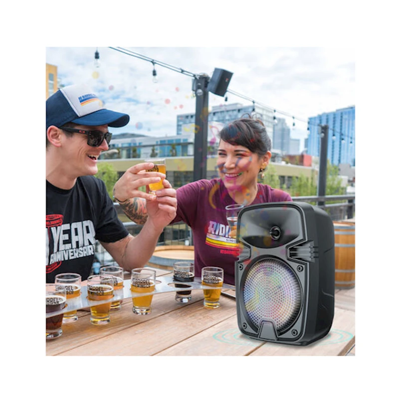 Акустическая система ZQS1328S Black