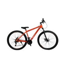 Dağ velosipedi BMX GTR 226, 24
