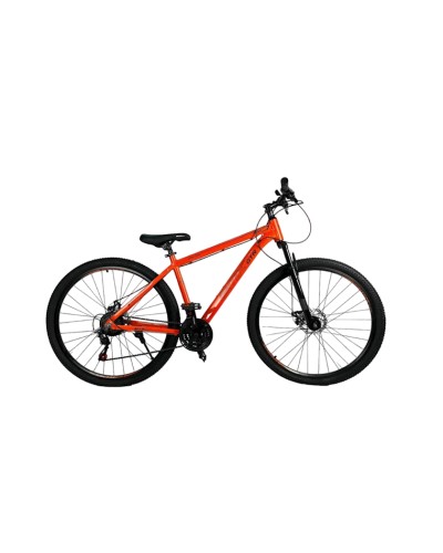 Dağ velosipedi BMX GTR 226, 24