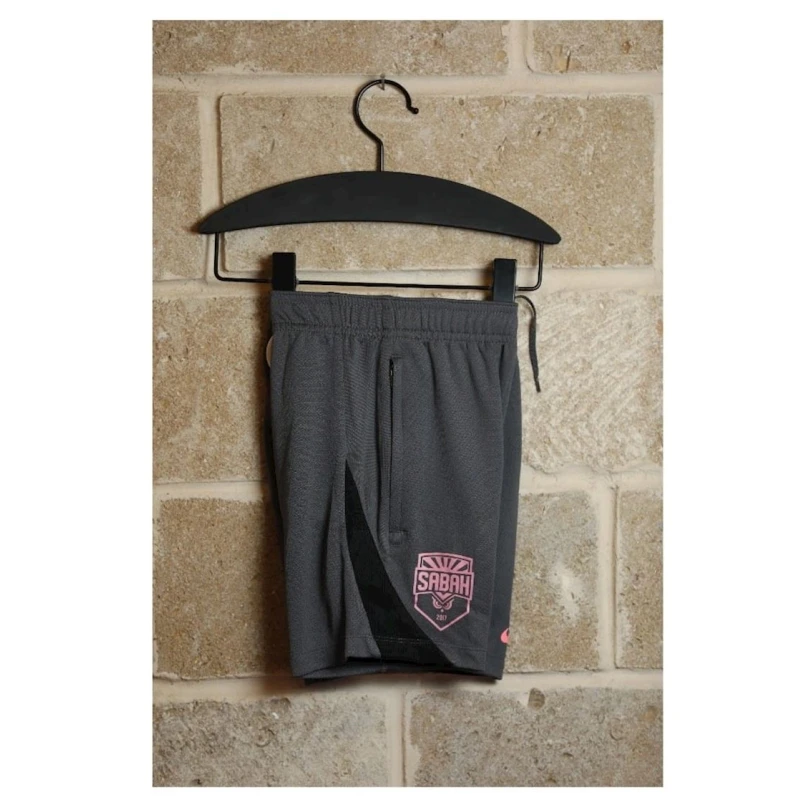 Шорты для болельщиков Nike FN8419-069, серый, текстиль, размер S