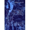 Книга Gathering Blue, автор Lois Lowry