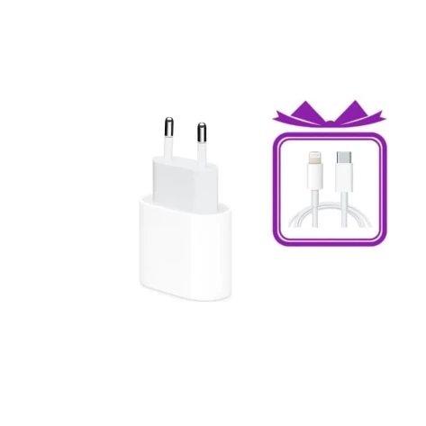 Сетевое зарядное устройство A2305 20W + USB-C to Lightning 2m