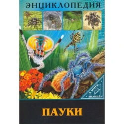 Энциклопедия Проф-пресс В мире знаний Пауки, 32 стр
