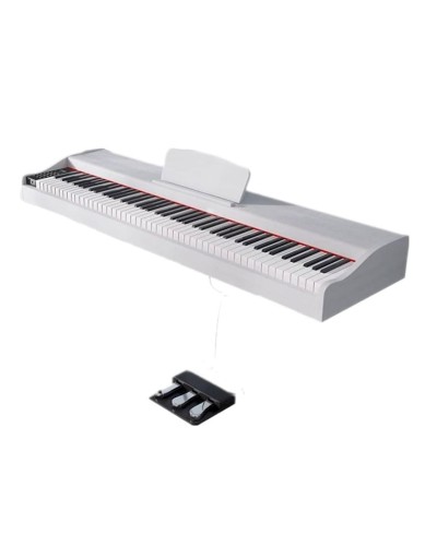 Piano Suita DP 20 Digital
