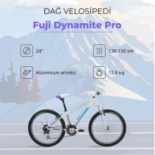 Dağ velosipedi Fuji Dynamite Pro 24