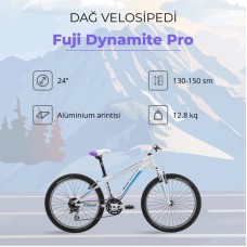 Dağ velosipedi Fuji Dynamite Pro 24