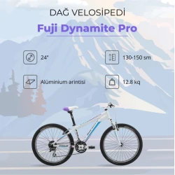 Горный велосипед Fuji Dynamite Pro 24