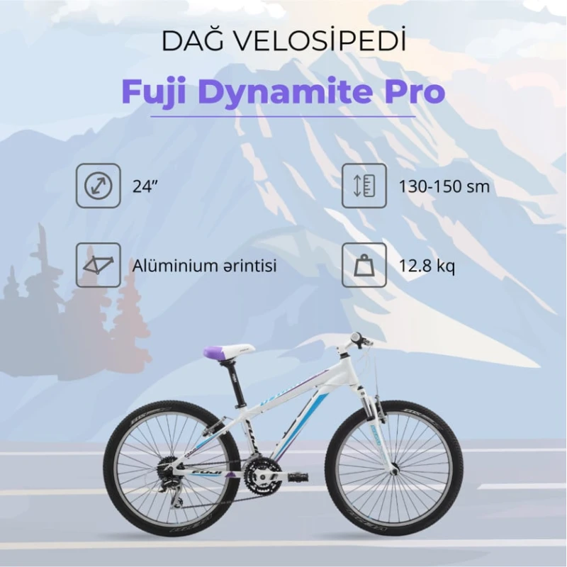 Горный велосипед Fuji Dynamite Pro 24