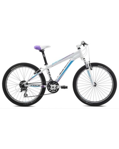 Dağ velosipedi Fuji Dynamite Pro 24
