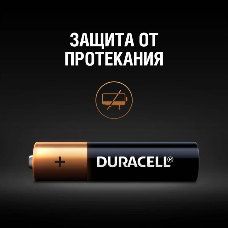 Батарея Duracell Basic LR03 AAA MN2400, 4 шт Батарея Duracell Basic LR03 AAA MN2400, 4 шт