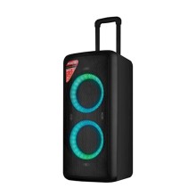 Portativ dinamik F&D PA300