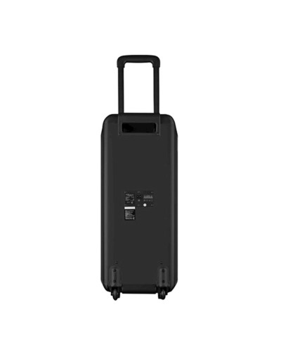 Portativ dinamik F&D PA300