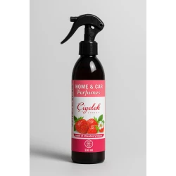 Avtomobil üçün hava təravətləndiricisi Çiyələk ətirli TM005, 330 ml