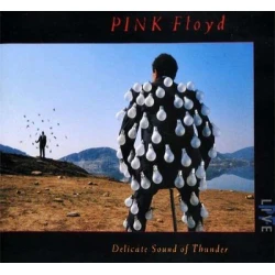 Виниловая пластинка Pink Floyd - Delicate Sound of Thunder: Live