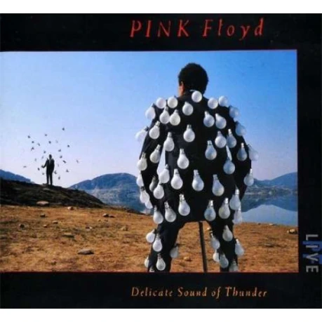 Виниловая пластинка Pink Floyd - Delicate Sound of Thunder: Live