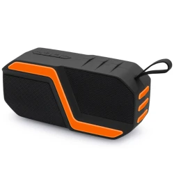 Portativ dinamik New Rixing NR-5019