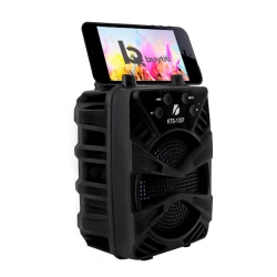 Portativ dinamik KTS KTS-1337