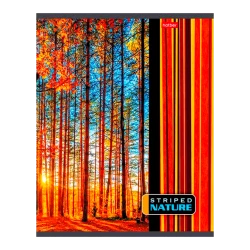 Тетрадь в линейку Hatber A5, 96 листов, разноцветный